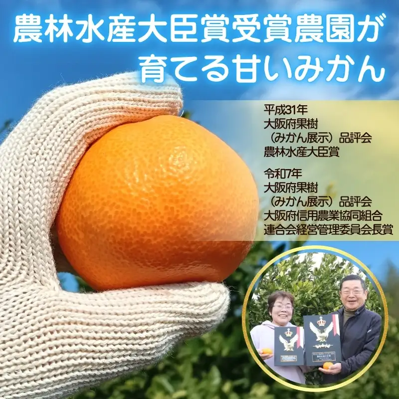 先行予約 2026年11月下旬より発送 【 訳あり 】 甘さが違う極上みかん 5kg 