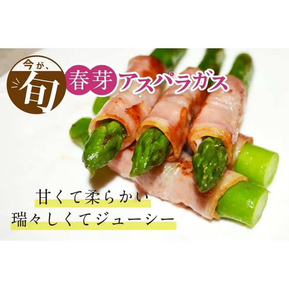 【朝採り直送】春芽アスパラガス 1kg (2L-Lサイズ) 福岡県産 2027年