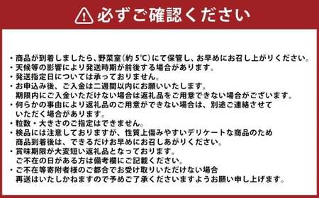 有機あまおう250g×4パック 【2027年1月上旬～3月下旬頃発送予定】 苺 いちご イチゴ 果物 くだもの フルーツ 国産 冷蔵 250g 4パック 有機あまおう あまおう