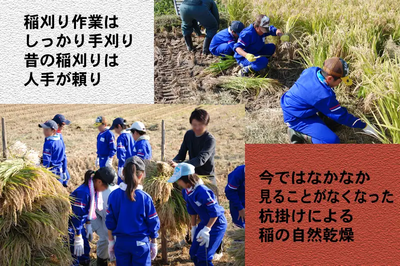 SB1017　令和7年産【精米】 はえぬき 6kg (2kg×3袋) SI