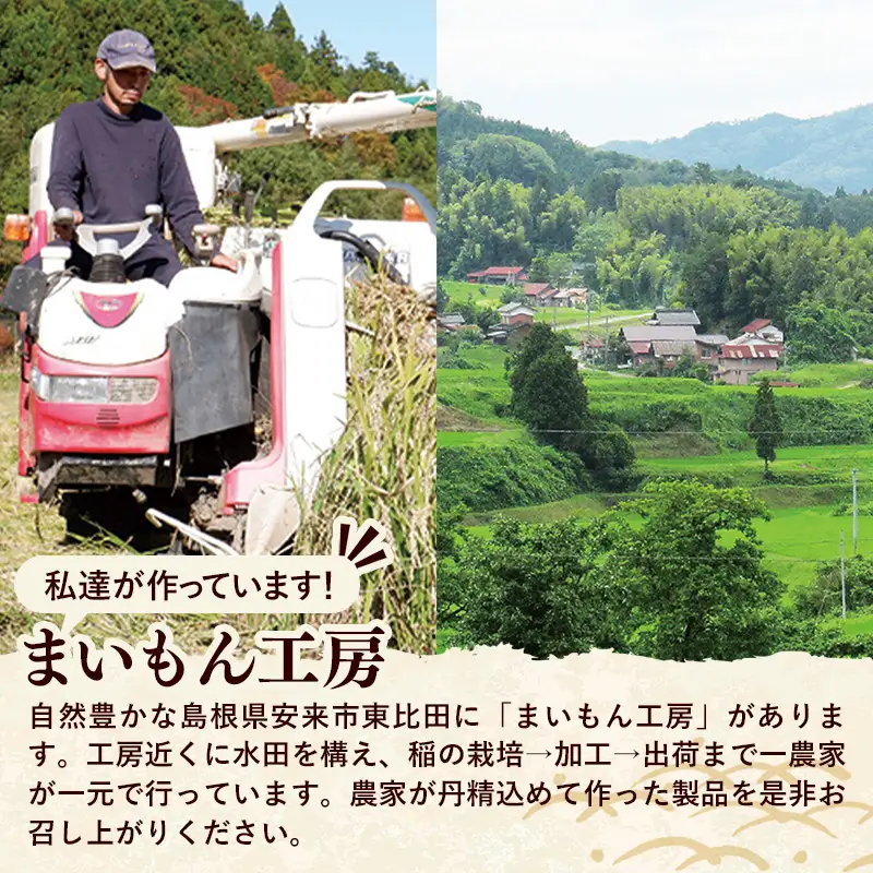 【先行予約】 平餅(よもぎ) 10個 【餅 もち おやつ おもてなし 贈り物 よもぎもち ヨモギ 和菓子 島根県 安来市】【05-MK-09】