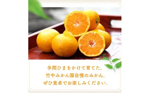 【Sサイズ】有田みかん 5kg 早生みかん サイズ指定【tkn004-gif-s-5A】