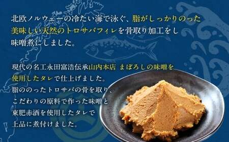 骨取り 天然トロさばフィレの味噌煮 10切れ (個包装・真空パック入り)
