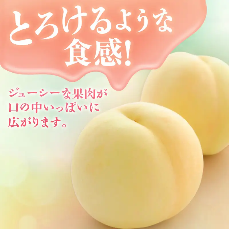 【2026年先行受付】 白桃 シャインマスカット 晴王 約1.2kg セット 桃 2玉 ぶどう 1房 岡山県産  御中元 ギフト 御礼 プレゼント 御礼 御祝 御供 果物 くだもの フルーツ もも モモ 葡萄 ブドウ