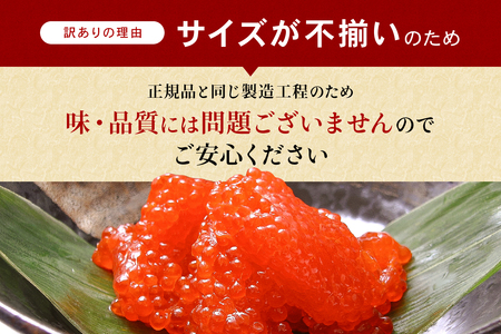 〈9月配送〉訳あり 紅鮭筋子醤油漬 500g (250g×2個入）加藤水産 ひとくちカット すじこ 魚卵 海鮮 おかず おにぎりの具 贈答 ギフト 人気 留萌市 R002-004-09