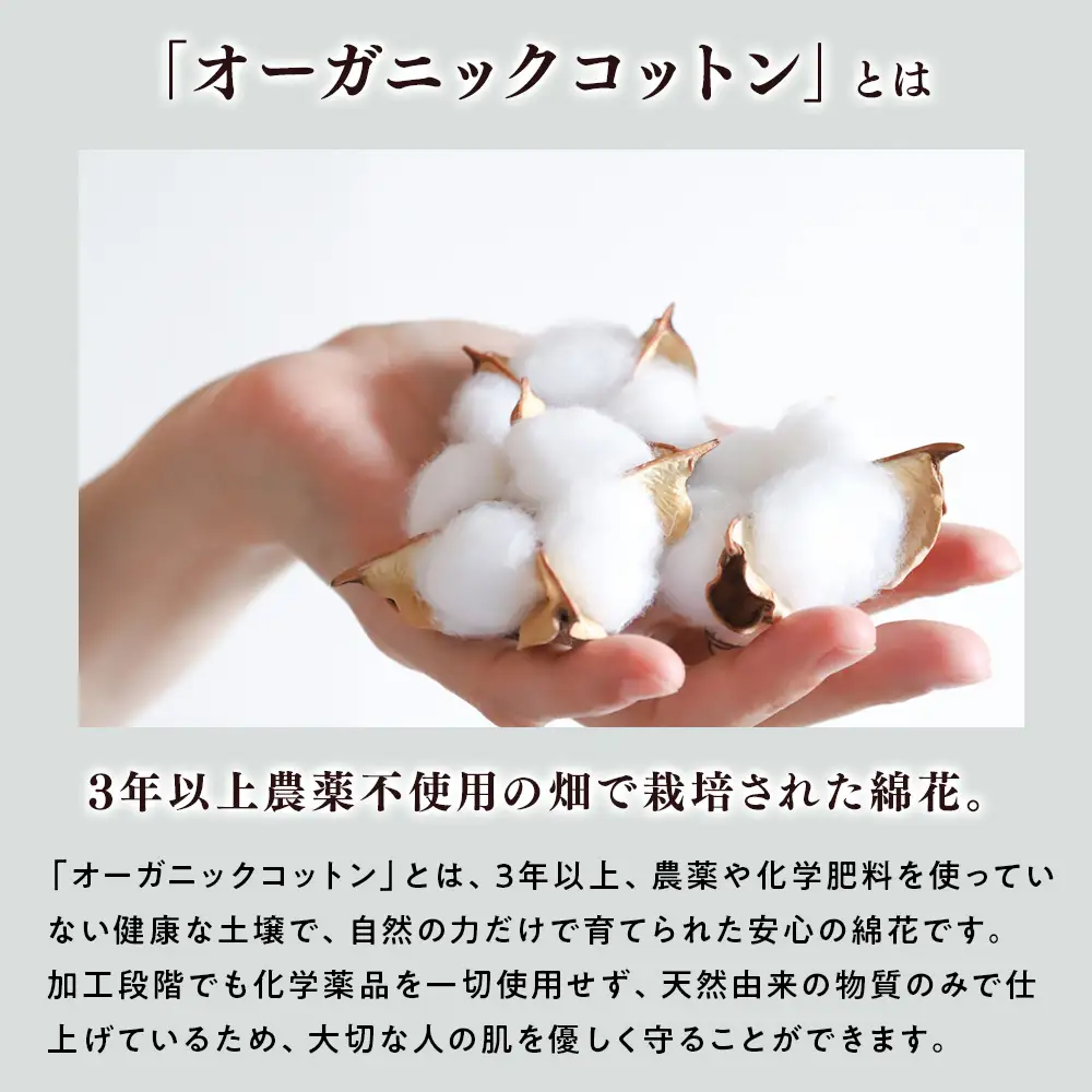 泉大津製 無着色 オーガニック コットン マイヤー毛布(毛羽部分) 掛け・敷きセット シングル | 肌ざわり 肌触り 吸水性 日本製 綿 100％ 毛布の町 ワンランク上 睡眠 熟睡 快眠 寝具 品質基準