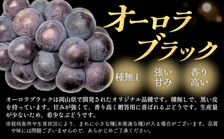 岡山県産 オーロラブラック 2房(計1kg以上) 環山堂株式会社 ぶどう