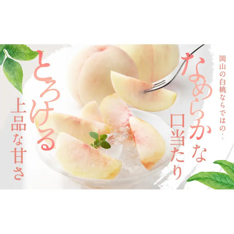 桃 2026年 先行予約 白桃 8玉 合計約2.0kg もも モモ 岡山県産 国産 フルーツ 果物 ギフト