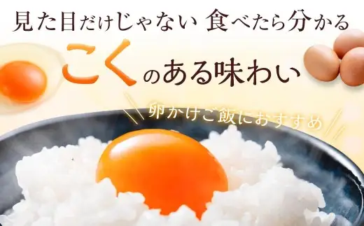 赤穂の源 50個（40個+割れ保証10個）（25×2パック） 鶏卵 卵 たまご 卵かけご飯 卵焼き 朝ごはん ご飯 ご褒美 冷蔵 兵庫県 赤穂市