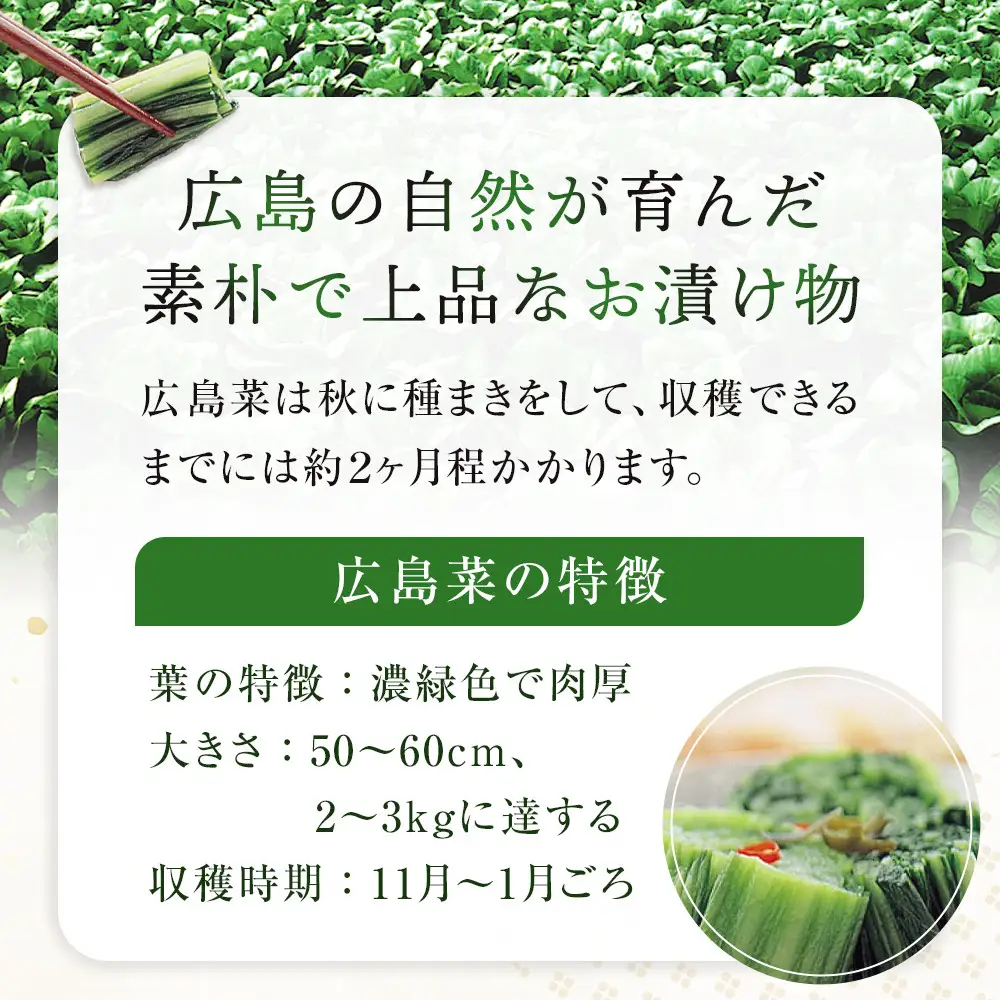 カープ広島菜茶漬4個入り