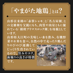やまがた地鶏 「手羽元」 060-020