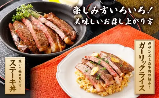 静岡県産 牛ロースステーキ 約250g×4枚（計約1kg） 牛肉 肉 ロースステーキ ロース ステーキ 焼肉 BBQ バーベキュー 静岡県 菊川市