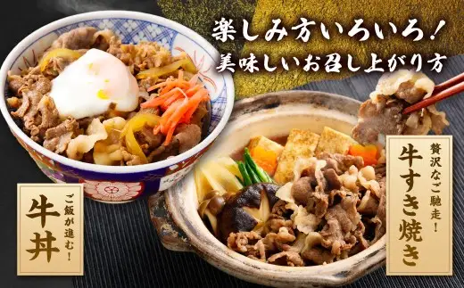 静岡県産 牛切り落とし 約2kg 牛肉 肉 牛 切り落とし 焼肉 バラ ウデ モモ BBQ バーベキュー 静岡県 菊川市