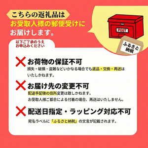 WASHMANIA 洗濯槽クリーナー1回分200g クリックポスト 北島町 ドリームチーム