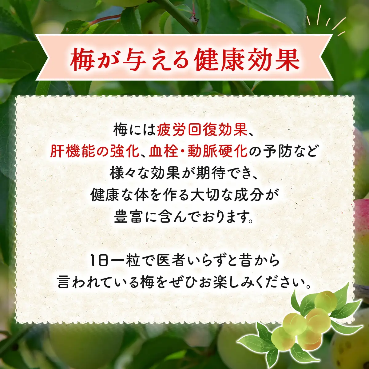 W01306 大多喜町産　無添加梅尽くし３点セット