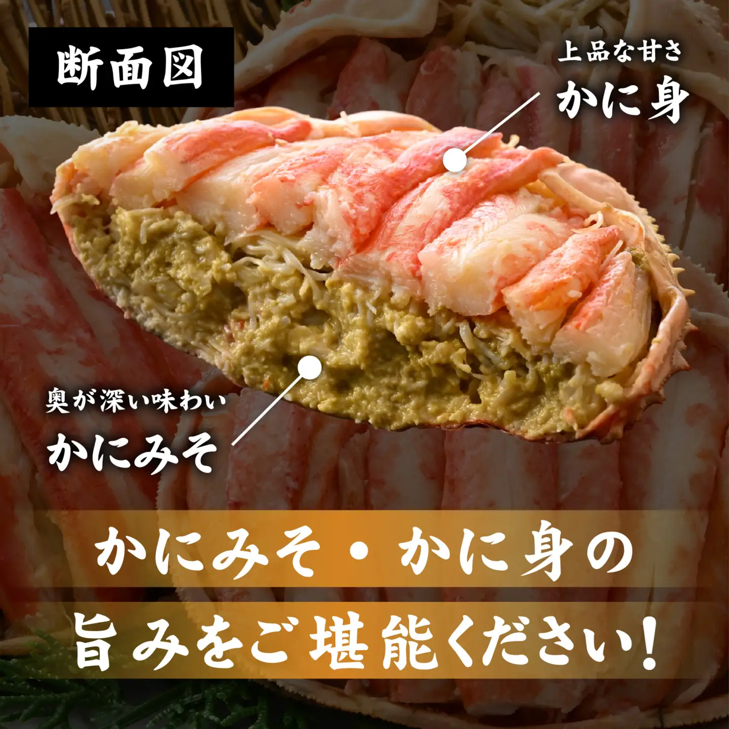 【トライアル返礼品】【訳あり】釜茹で　蟹好き集まれ！日本海産ズワイガニ(オス) 【甲羅盛175g前後× 1個】[A-096033] / かに 蟹 カニ