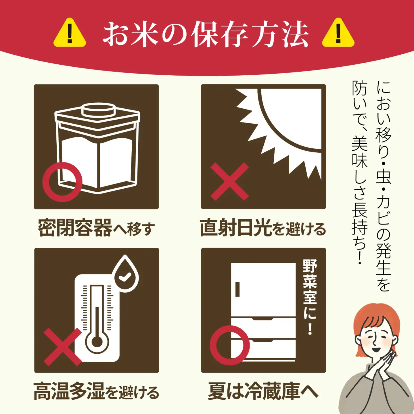 【令和8年産 新米】こしひかり  白米 5kg | コシヒカリ 