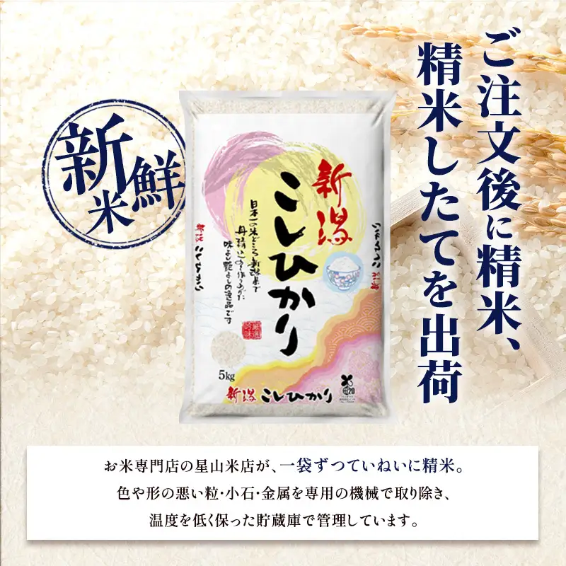 【令和8年産 新米】新潟県産 コシヒカリ 5kg 米 お米 こしひかり 白米 精米 新潟市 2026年産 産地直送