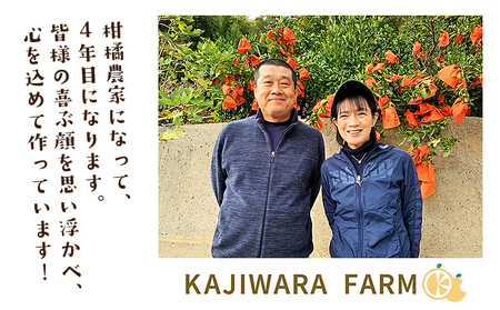 ＜柑橘100％ジュース （温州みかん6本）＞ 温州みかん ストレートジュース 果汁100％ ミカン 蜜柑 果物 柑橘 かじわらFARM 愛媛県 西予市【常温】『1か月以内に順次出荷予定』 MKF0001