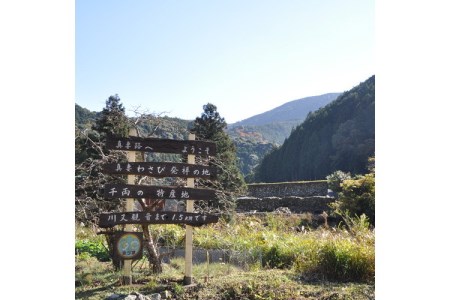 わさびの醤油漬け&味噌漬け(各2個セット) 和歌山県印南町産【0276-3】