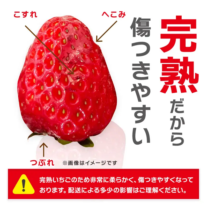 和歌山生まれのイチゴ【まりひめ】大粒3パック12月発送分《先行予約》いちご【0295-6】