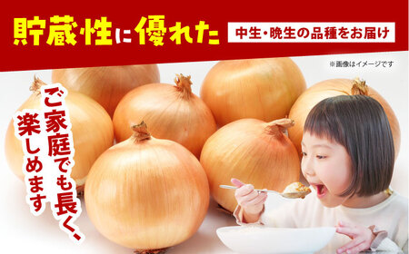【今が旬!】 訳あり 玉ねぎ 10kg 　【えぐちファーム】 不揃い たまねぎ[HDE004]