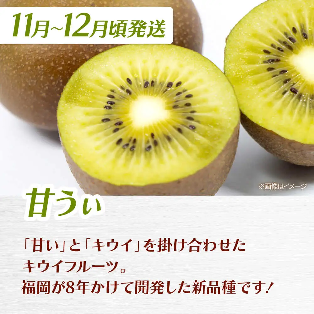 【全3回定期便】九州・福岡もぎたて フルーツ定期便 A　桂川町/一般社団法人地域商社ふるさぽ[ADCF017]
