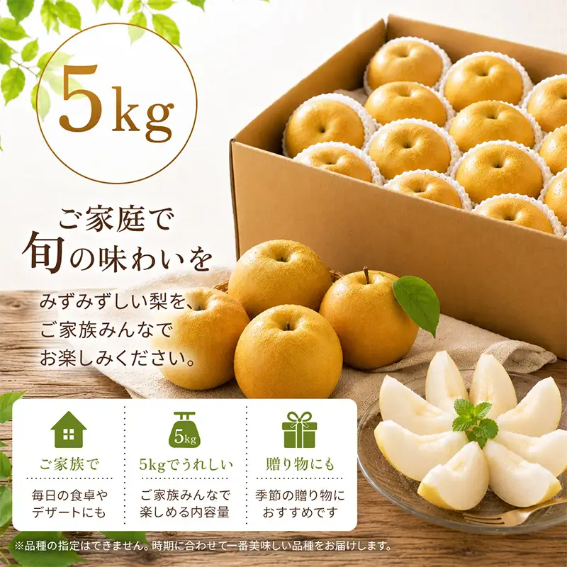 『先行予約』【令和8年7月上旬より順次発送】唐津産 梨 5kg【旬の味覚】幸水 豊水