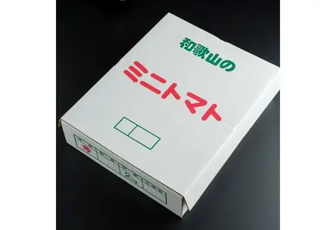 【0377-4】ミニトマト（アイコ）2kg《先行予約》2027年1月上旬より順次発送予定