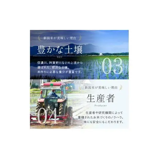 米 令和7年産 新潟産なんかん米こしいぶき 精米5kg
