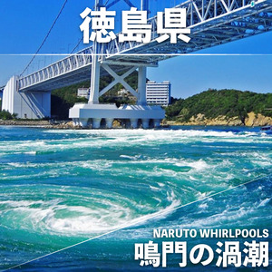 阿波しじらソフトスリッパ グラデーション L1足 吉野川市 ドリームチーム