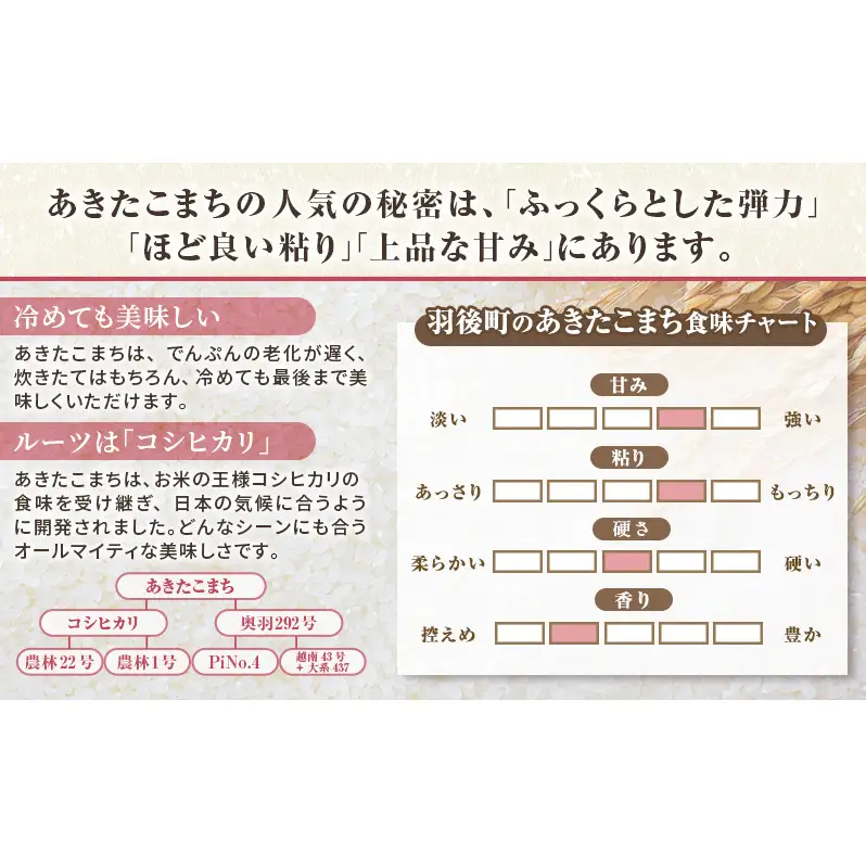 秋田県 羽後町産 あきたこまち 精米 10kg（5kg×2袋）【 米 お米 白米 精米 アキタコマチ 美味しい 秋田 羽後 】