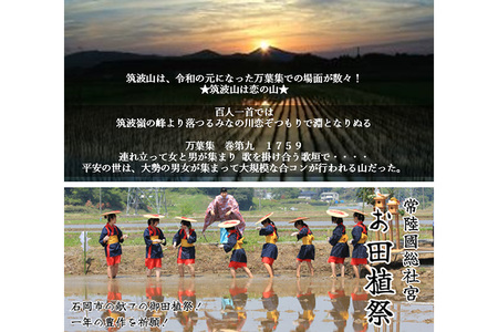 茨城県産 こしひかりミックス 令和7年産白米15kg B07-019