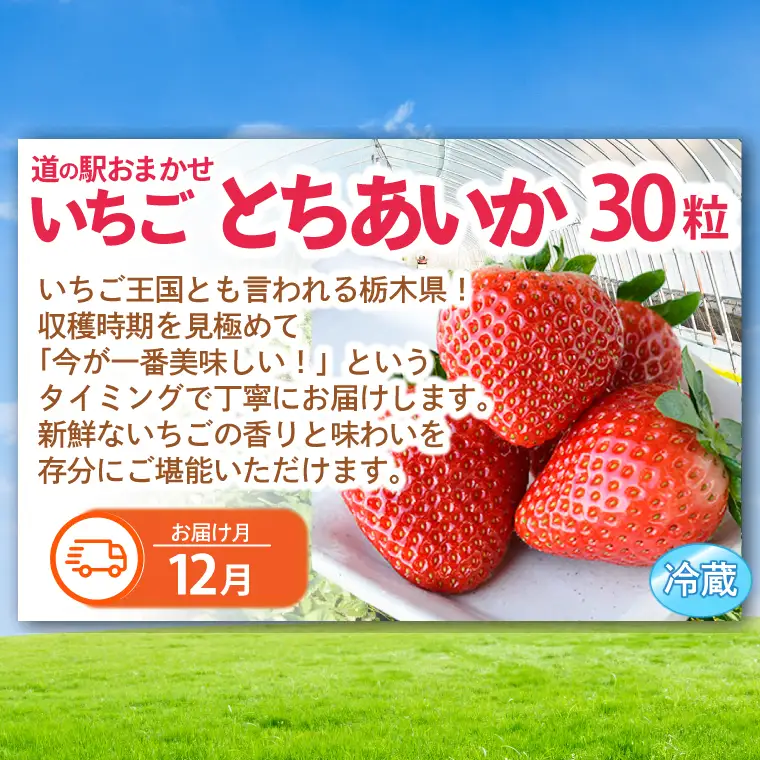 栃木県産 フルーツ 定期便 年6回 道の駅ましこ AA046