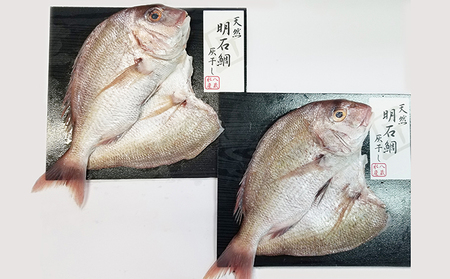 明石鯛の灰干し 2枚入」【配送不可：離島】 魚貝類 干物 