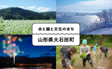 令和7年産 あきたこまち  無洗米 順次発送 30kg 10kg×3袋 山形県産 ap-akmxa10x3-0