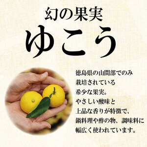 幻の果実ゆこうのお酒リキュール 720ml 上勝町 ドリームチーム