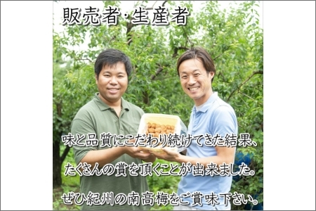 紀州南高梅使用 こんぶ風味梅干 1.5kg（和歌山県産）【0515-7】