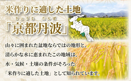 【12回定期便】令和8年産 コシヒカリ 10kg  定期便 精米 白米