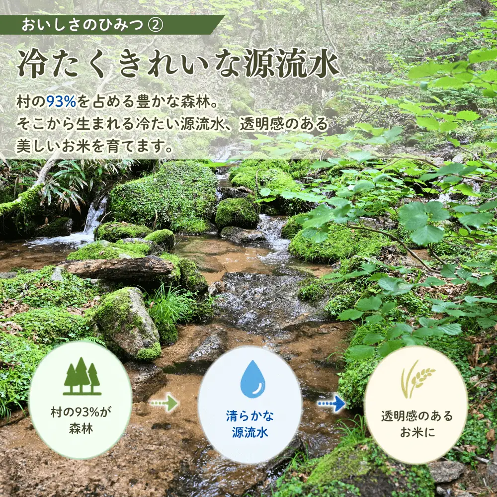 ５年連続完売のお米！ あわくら源流米 コシヒカリ 玄米 30kg 【 6回 定期便 】 令和８年産 新米 先行予約 K-ad-CFCA
