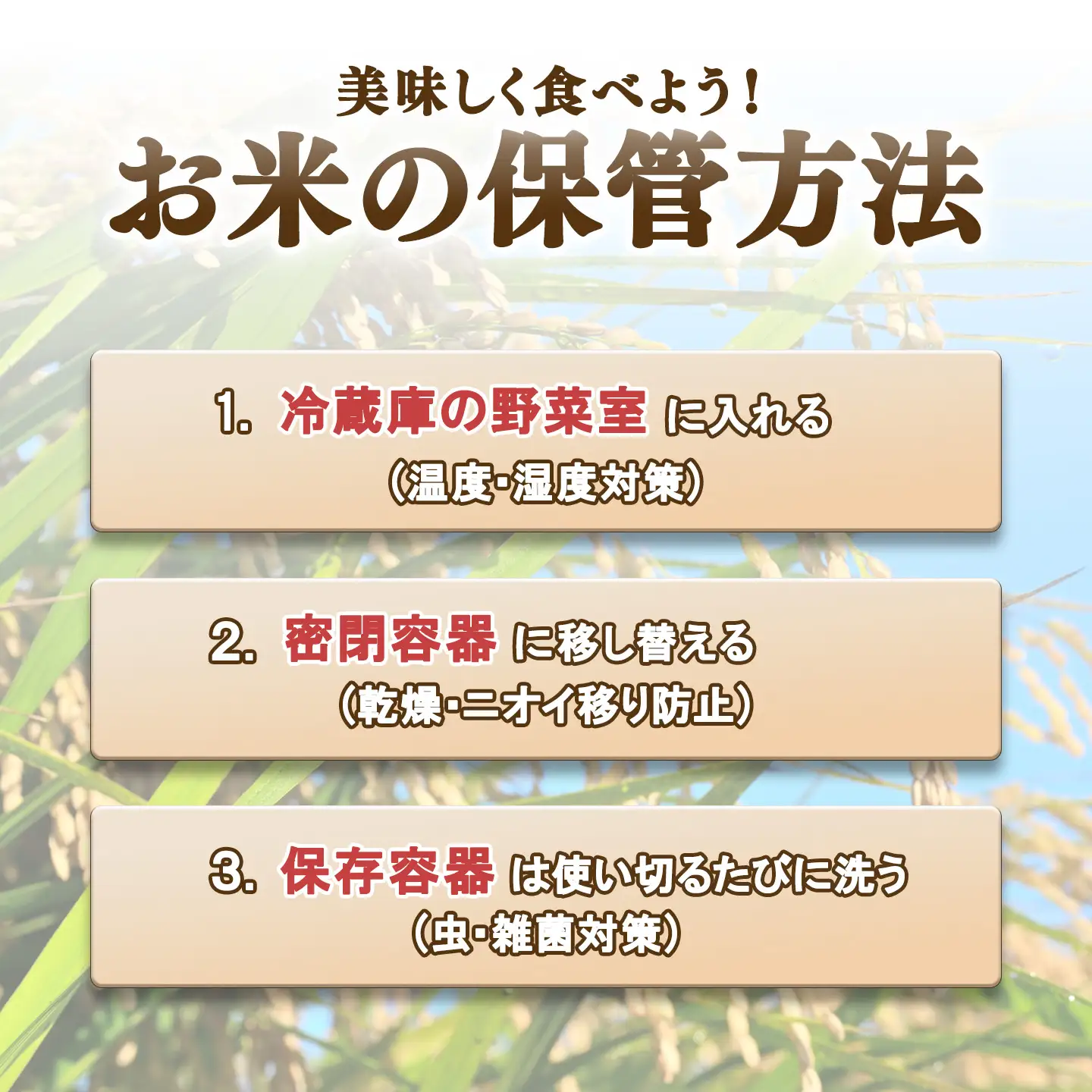 【定期便】令和7年産 コシヒカリ10kg×6回 こしひかり