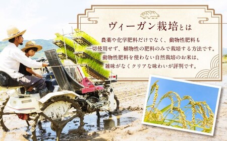 玄米 ひのひかり 5kg ぶんぶんファーム