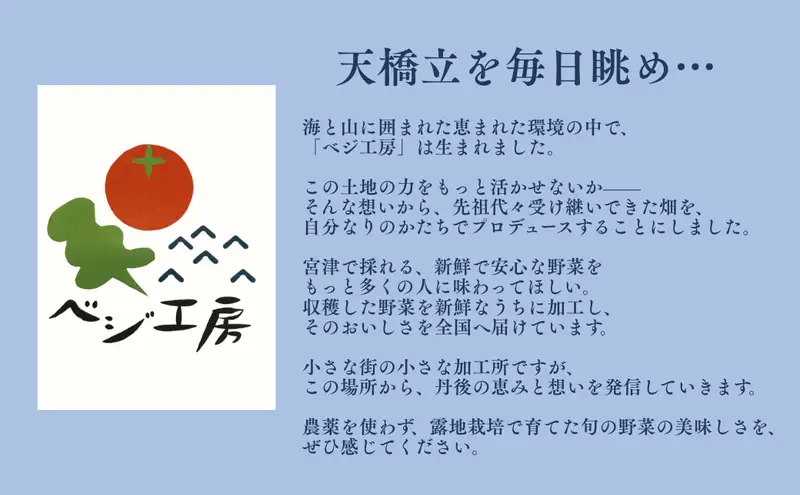 天橋立こはく糖（2箱入り）| お菓子 おかし おやつ 和菓子 こはく糖 食品 ギフト  myz08 myz11 myz24