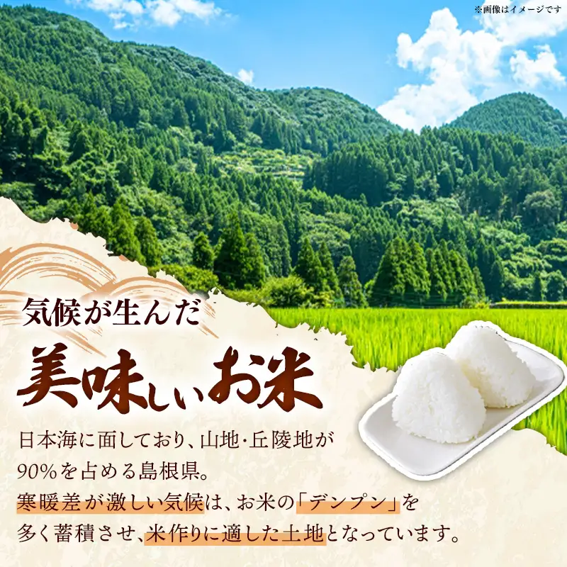 比田米 コシヒカリ(精米)5kg×3回 定期便【令和7年産 米 お米 計15kg こしひかり ごはん ご飯 国産 お弁当 美味しい 人気 おすすめ 島根県産 島根県 安来市】【45-EC-45】