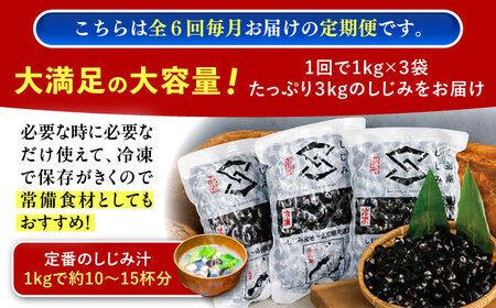 【全6回定期便】地元でも入手困難なレアサイズ！ Lサイズ 宍道湖産ヤマトシジミ(冷凍砂抜き済み)1kg×3袋(3kg) 島根県松江市/宍道湖漁業協同組合[ALAZ007]