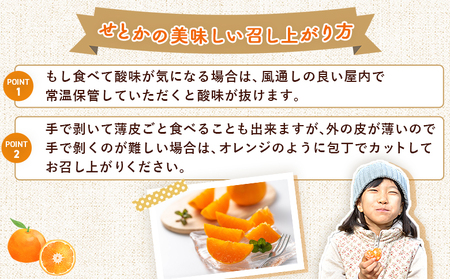 ＜せとか（家庭用）約1.2kg＋300g＞ 自宅用 訳あり ワケアリ 果物 くだもの フルーツ ミカン みかん セトカ 蜜柑 高級柑橘 柑橘の大トロ 柑橘 特産品 笑丸 愛媛県 西予市 常温『2027年3月上旬～4月上旬頃に順次出荷予定』AAN0079