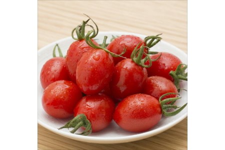 高級ミニトマト 謹製蕃茄 1kg【0534-1】