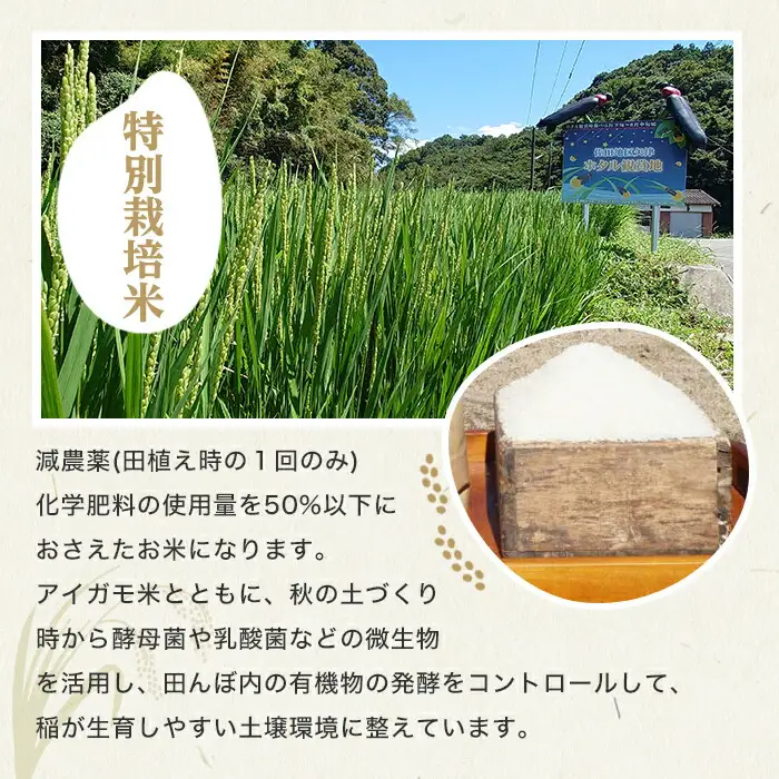 ＜令和7年産＞佐田の郷の米 特別栽培米(2.5kg)お米 白米 ごはん ヒノヒカリ ひのひかり ブランド米 常温 常温保存【111701100】【雅設置プロジェクト　佐田の郷の会】