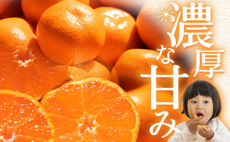 【贈答用】露地みかん 約3kg 小玉ミカン 先行受付 om-0002