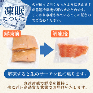 【数量限定】 アトランティックサーモン 計500g（切り落とし込み）サーモン